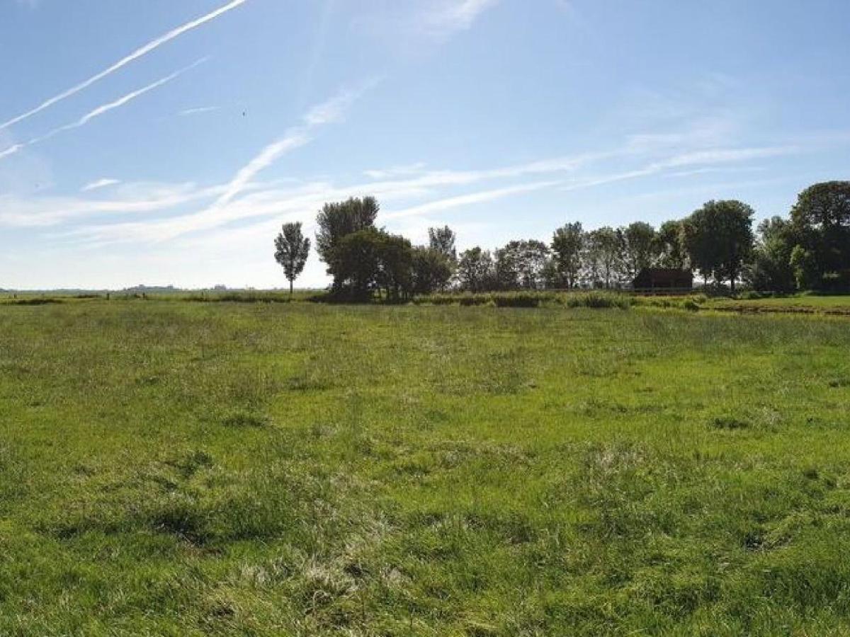 Charming House In Easterlittens On A Frisian Farm Wommels 外观 照片