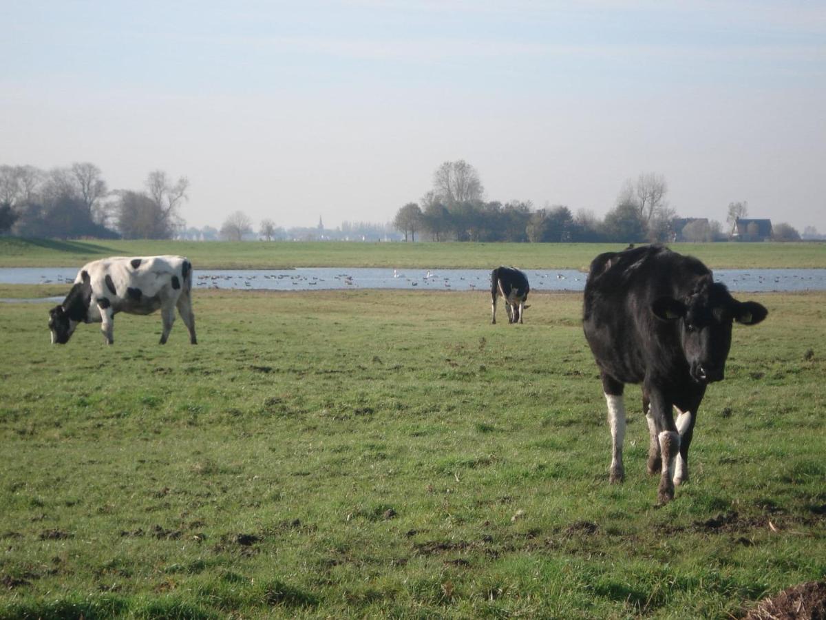 Charming House In Easterlittens On A Frisian Farm Wommels 外观 照片